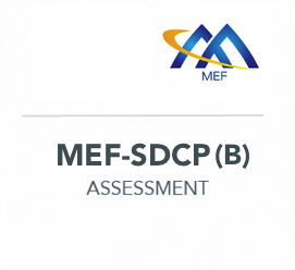 MEF-SDCP-B-Assessment